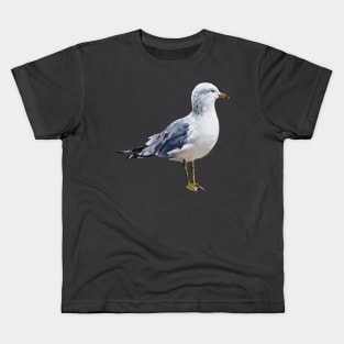 Ring Billed Gull painting (no background) Kids T-Shirt